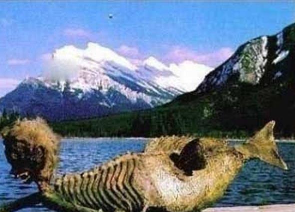 中国7种传说存在的神秘生物第5种被认为是远古物种