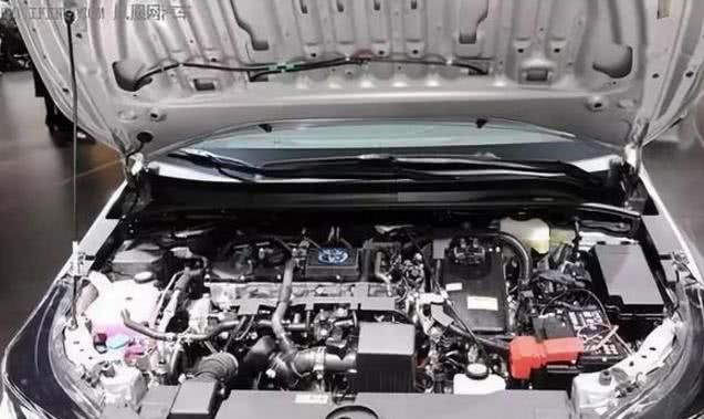 卡罗拉整容了!2019款丰田卡罗拉两厢版和旅行