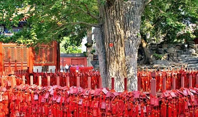 这是全国唯一不燃香火的寺庙 专为祈福祝寿