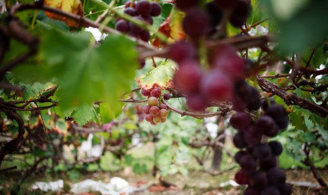 福州亲子一日游去哪里? 这五个景点让你不虚此