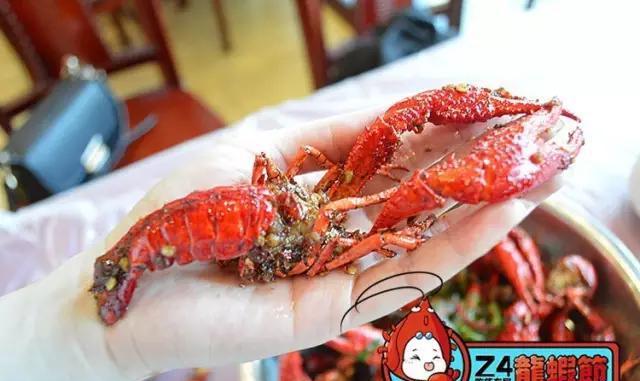 5.8折就能吃到株洲13年老虾店里的洞庭湖大龙虾!