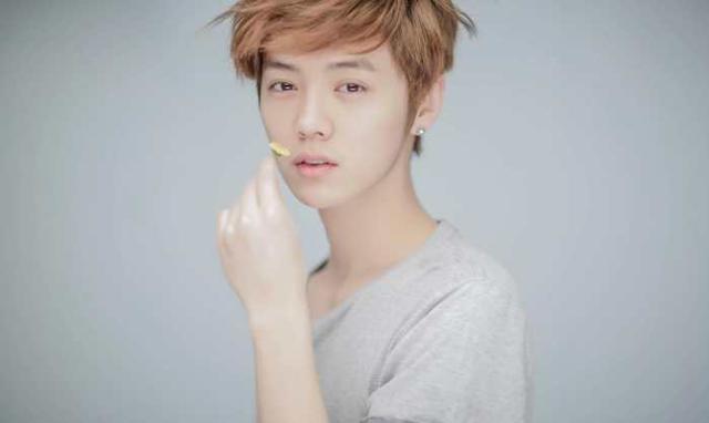 鹿晗专辑销量打破国内纪录,粉丝:我鹿走的国际