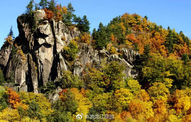 铁力|桃山|旅游_新浪新闻