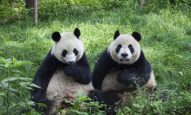 中国人口最多的城市之一,GDP已超万亿,未来有