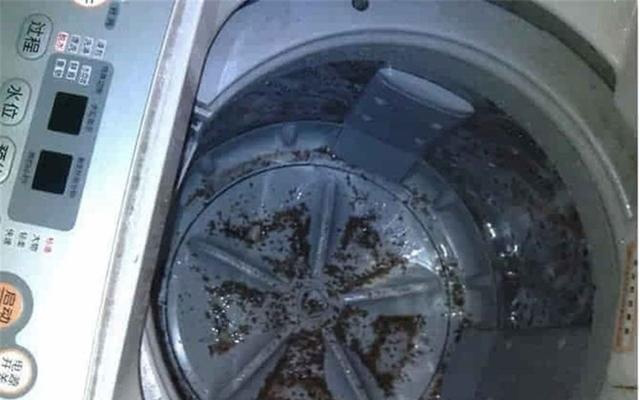 洗衣机洗完衣服总有毛毛怎么办?隔壁阿姨教了