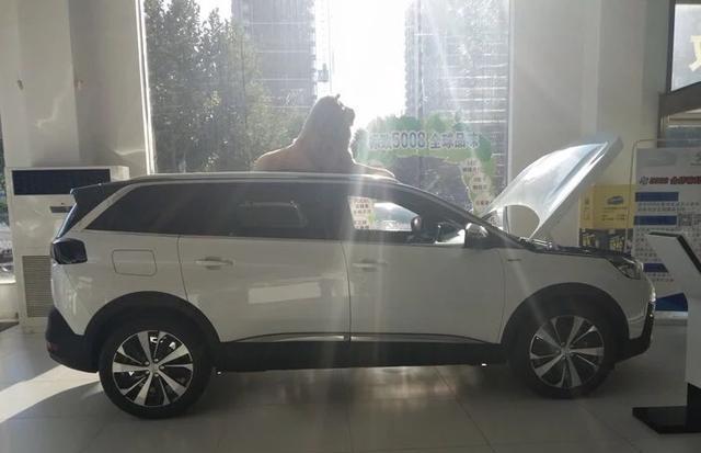 店里打听标致5008价格, 下订之前看到第三排座椅心都冰冻