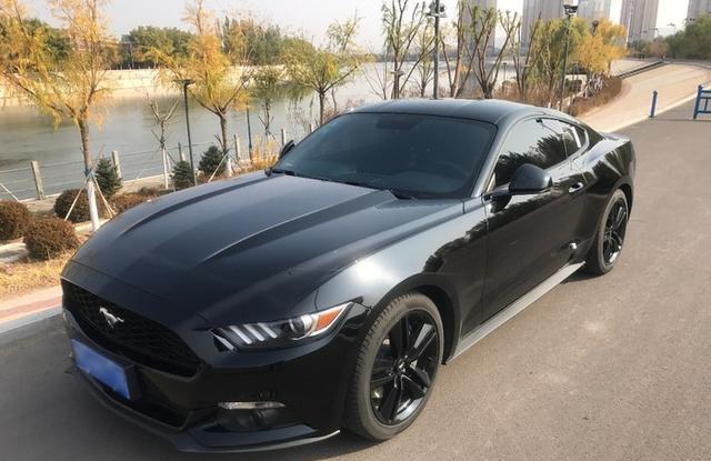 野马风暴黑提车作业！太帅了这车！