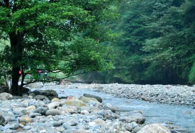 成都自驾一天打来回,最全耍水攻略!来一场凉爽