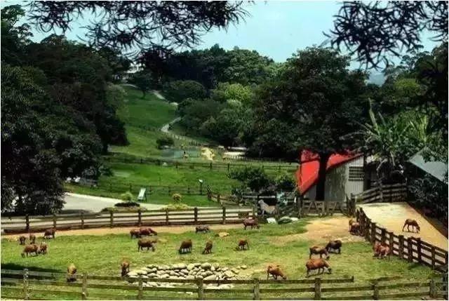 及休闲农场颇具知名度,代表性的牧场包括香格里拉休闲农场,垦丁牧场