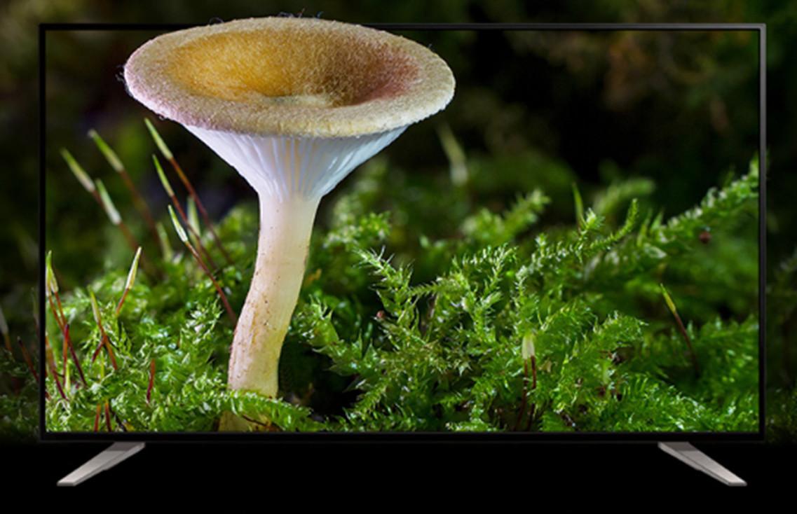 2018高性价比推荐,值得入手的智能电视