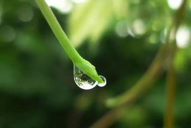 心情不好想发泄的句子,挑一句发朋友圈,释放你