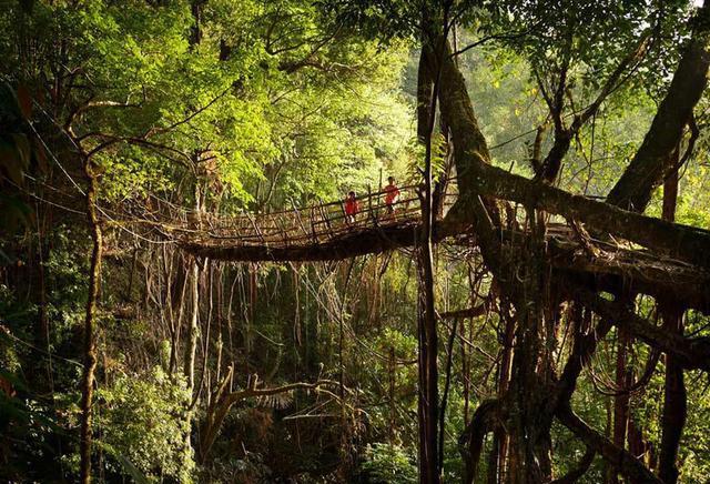 地理答啦: 为什么印度的乞拉朋齐会成为世界雨
