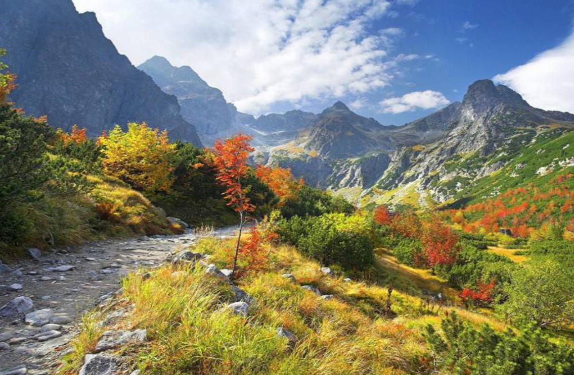 青葱绿山山色自然风景图片
