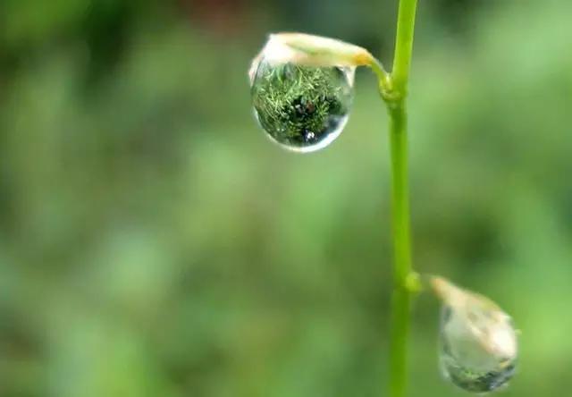 心情不好想发泄的句子,挑一句发朋友圈,释放你