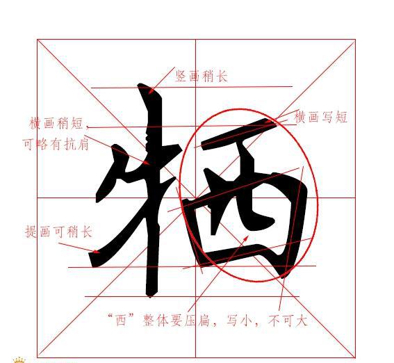 硬笔书法教程--偏旁部首篇牛字旁、禾字旁