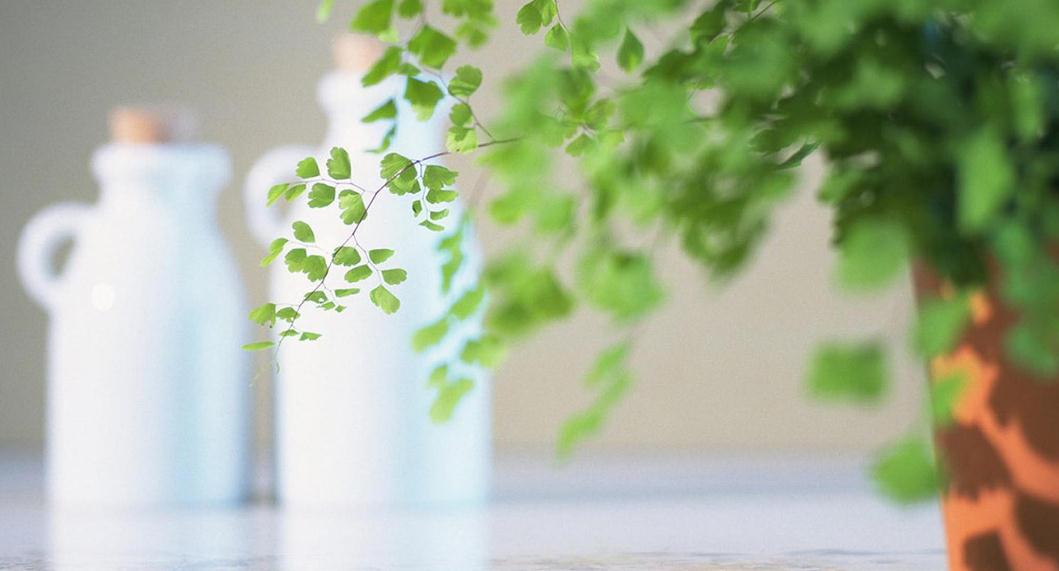 非常经典的句子:不为往事扰,余生只愿笑