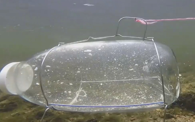 男子将塑料瓶放在水里捕鱼遭人嘲笑,最后的收