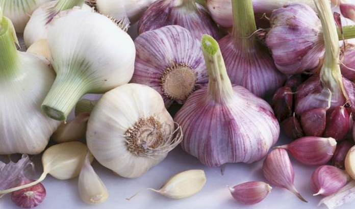 感染上幽门螺杆菌的人,会出现4个症状,只要细