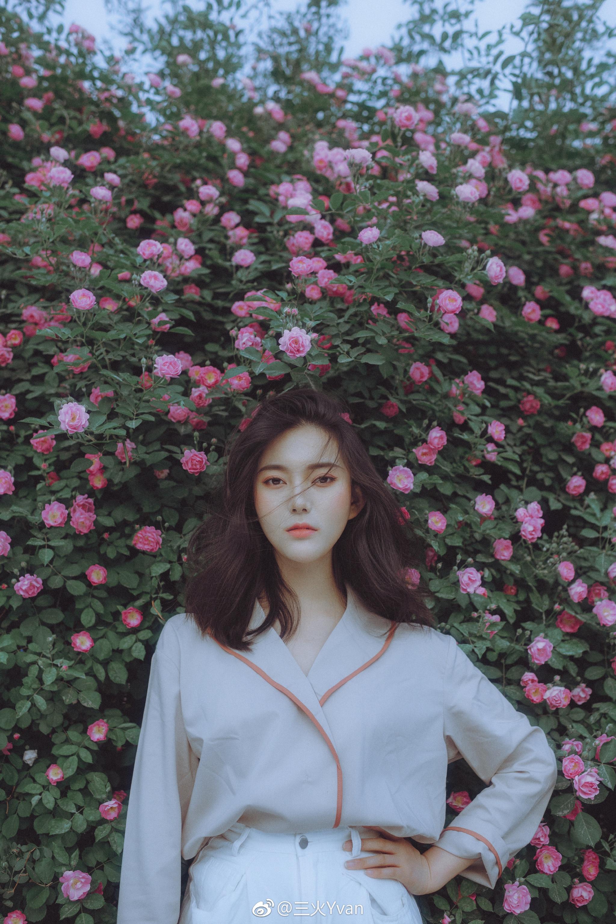flower hymn@吴芷怡酱