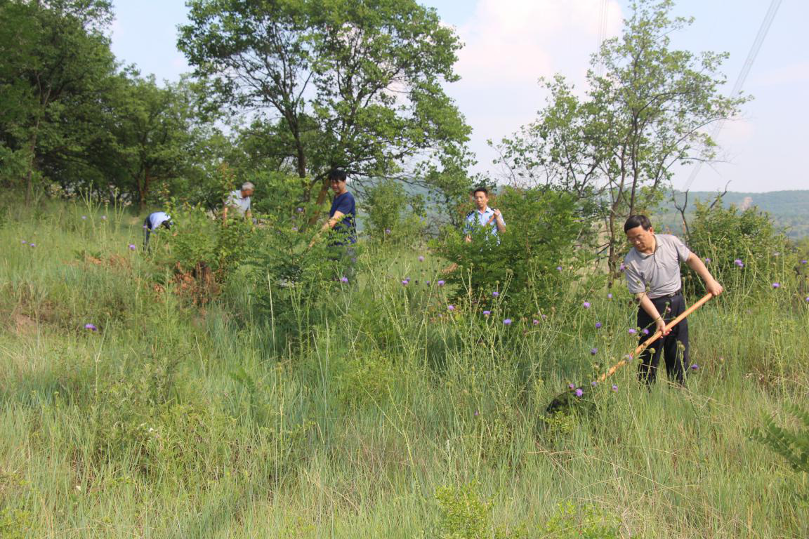 泾川林业局主要领导带队开展铲毒踏查行动