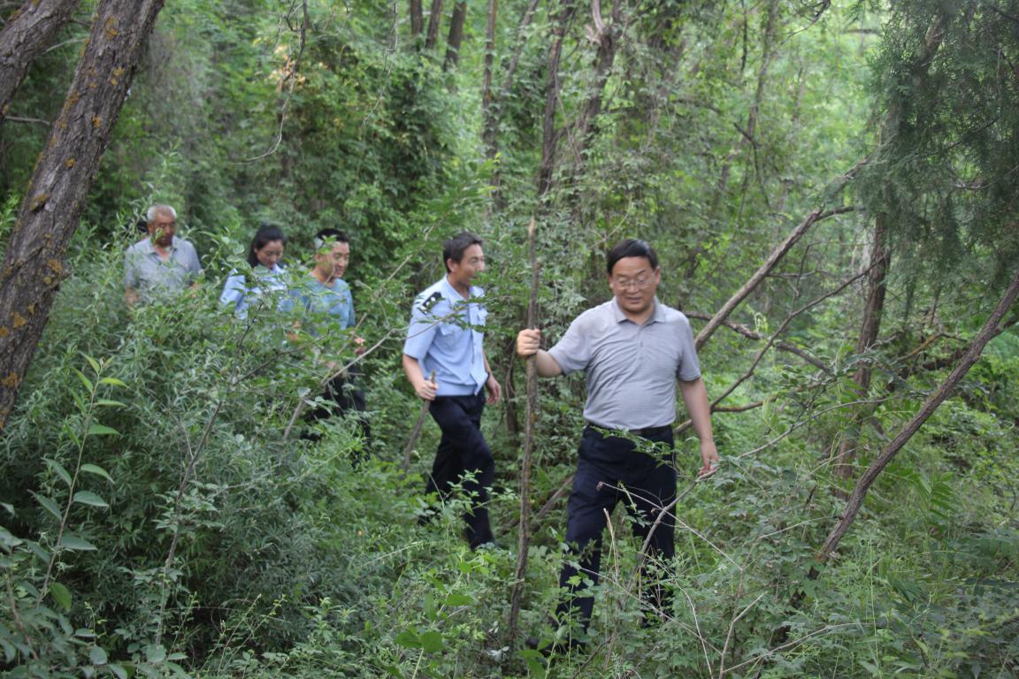 泾川林业局主要领导带队开展铲毒踏查行动