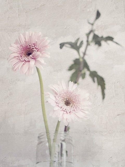 怀念校园青春的句子语录,永远的念想