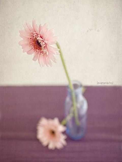 怀念校园青春的句子语录,永远的念想