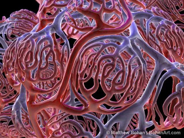 解密耐力是如何通过跑步运动有效提高的