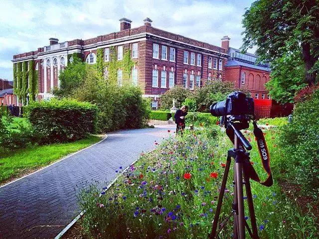 去英国读音乐表演专业,有哪些学校可以选择?