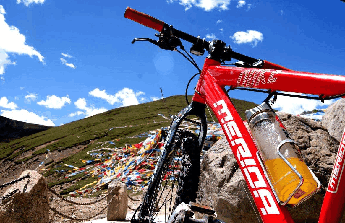 武汉的大学教授去敦煌游玩,因高原反应丧命,在