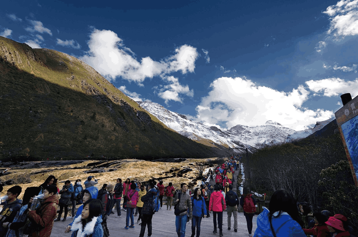 武汉的大学教授去敦煌游玩,因高原反应丧命,在