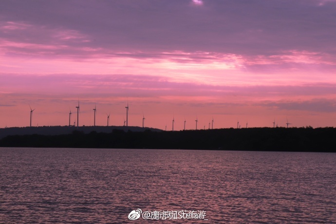 不再跑去海边,南京周边就有这样的紫色浪漫