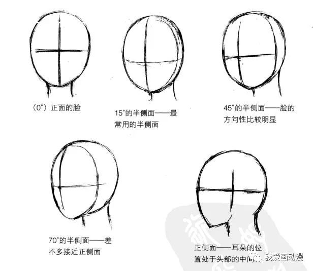 漫画技法|| 不同角度脸型画法