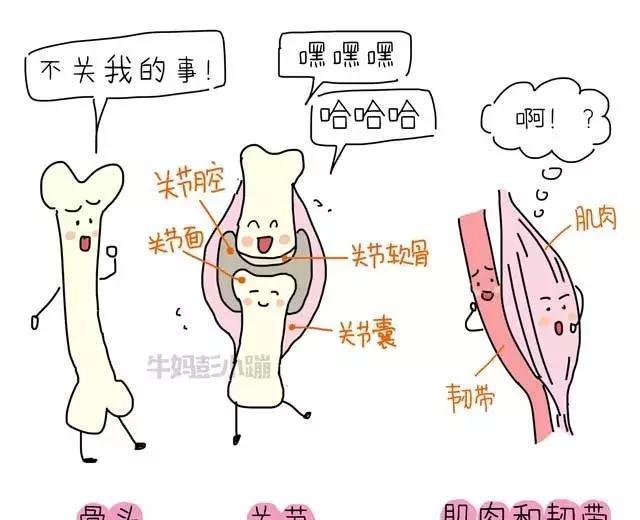 产后骨盆修复是个什么鬼? 有必要做吗?