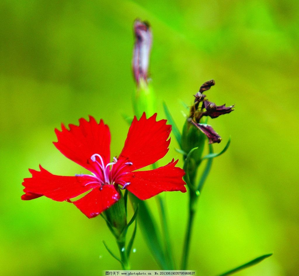 天蝎座的克星是谁