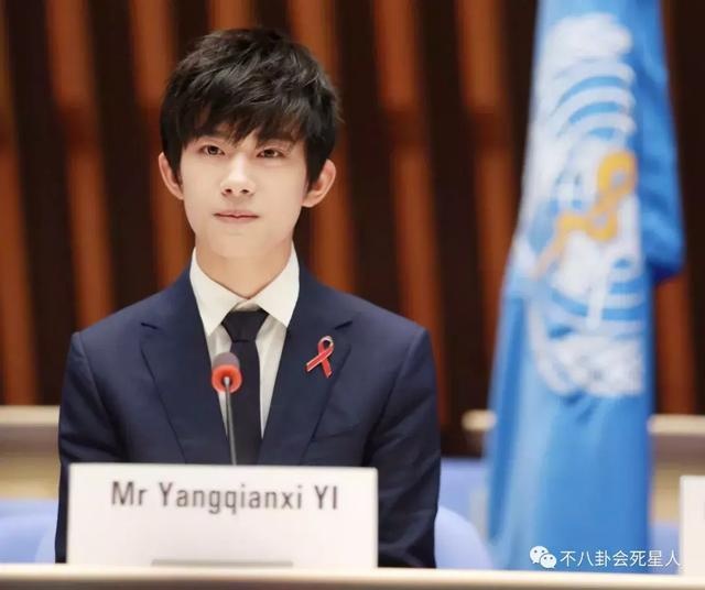 王俊凯 联合国图片