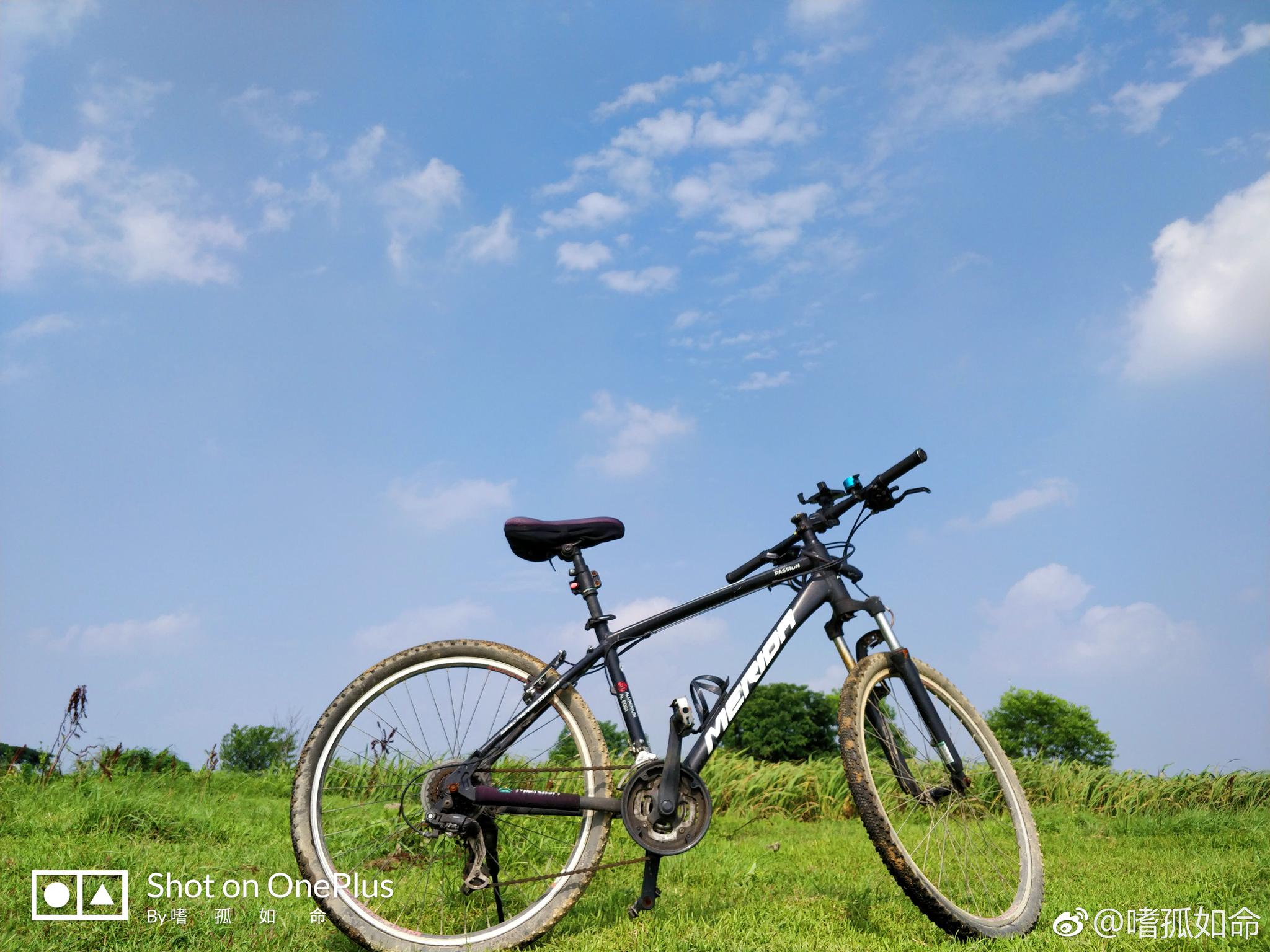 在一个安静的位置上,去看世界的热闹。