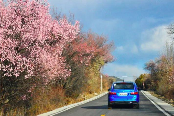 钟擎 | 十里桃花的林芝很美，腾势500完美打卡高原之旅！