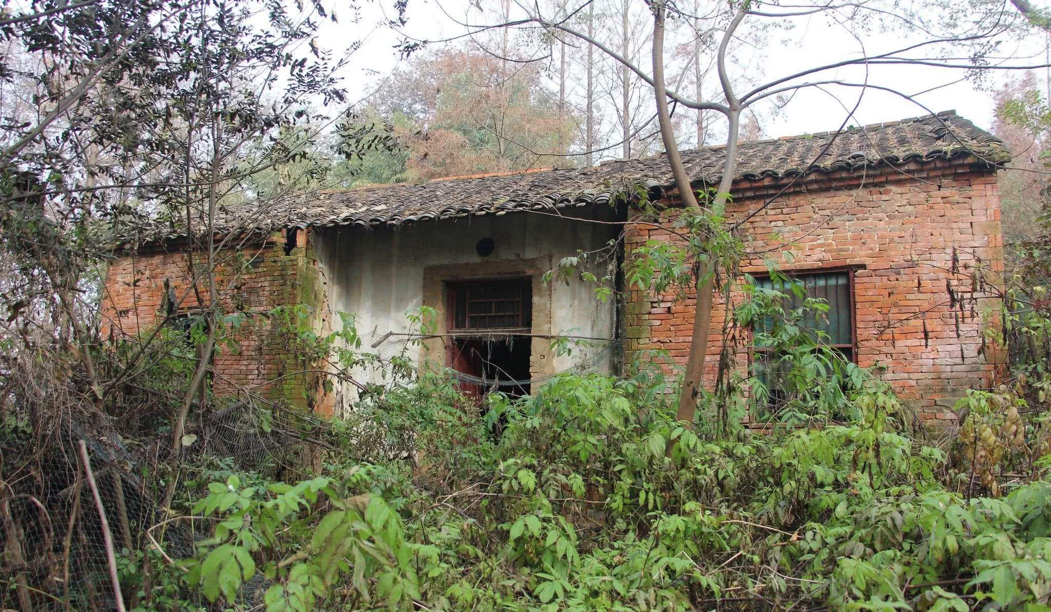 农村宅基地出新政,明年起,村干部将带头收回4