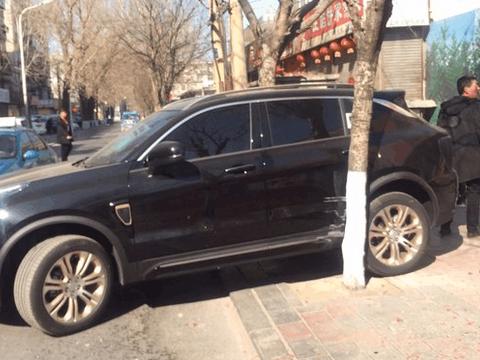 女子提吉利领克01才三天就撞树, 车主: 都是倒车雷达惹的祸