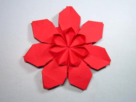 纸艺手工五角星的折法,一张纸就能折出简单又漂亮的