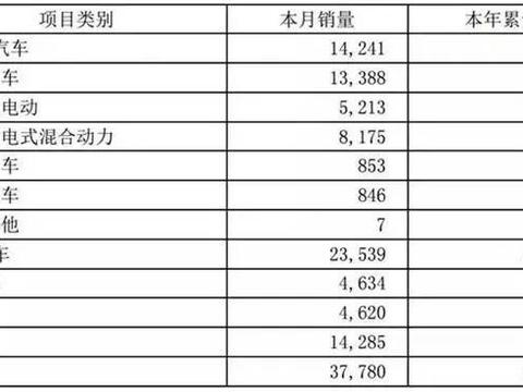 比亚迪新能源前5月销量累计57796辆，距离20万年终目标差太多！