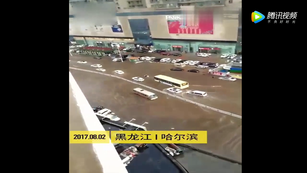 暴雨侵袭，价值4千万法拉利跑车被水淹，美女急哭众人帮忙抬车