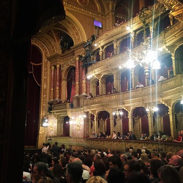 过来人谈匈牙利移民的感受