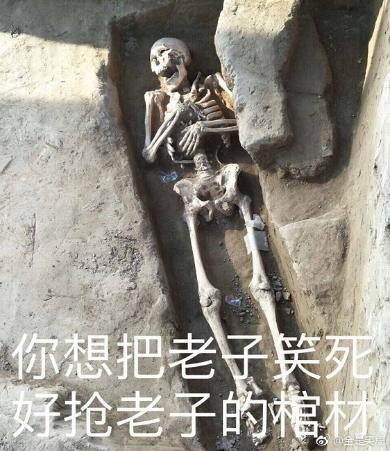 表情生v表情医学out晒头头蘑菇表情包图片
