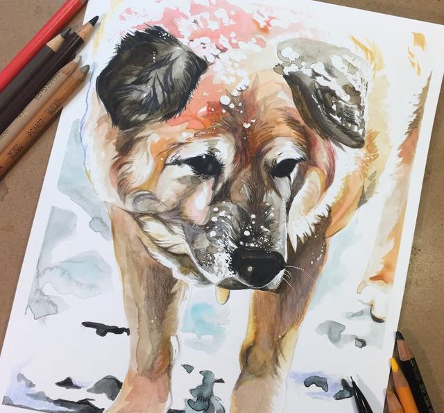 动物水彩画,艺术小卡片的美丽魅力,有燕子,熊,龙,凤,狼,鹿