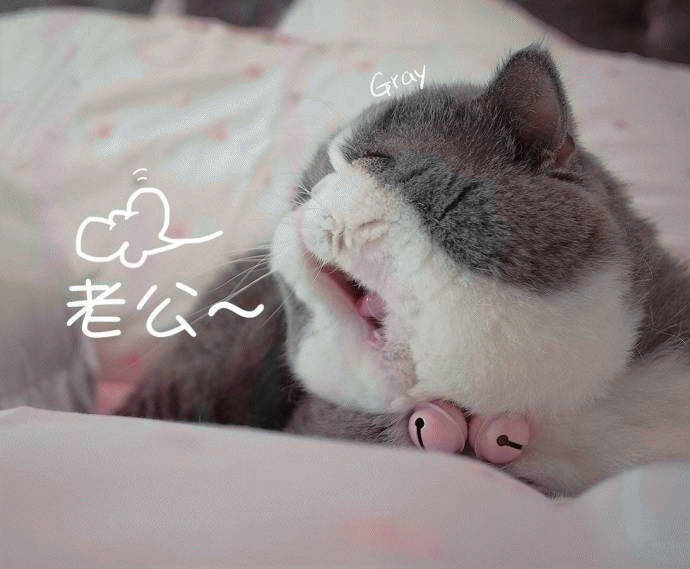 麻辣男女282/ 295:老公!老婆!要亲亲抱抱举高高!憋说话,吻我_新浪看点