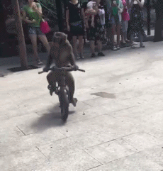 搞笑gif:大爷,今晚我在秋名山等你,不见不散