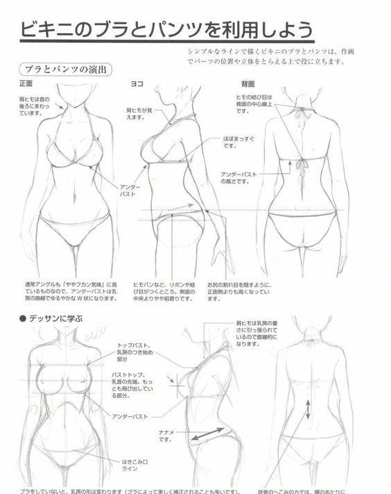 最全的动漫女性人体结构画法,躯干到腿部等部位都有