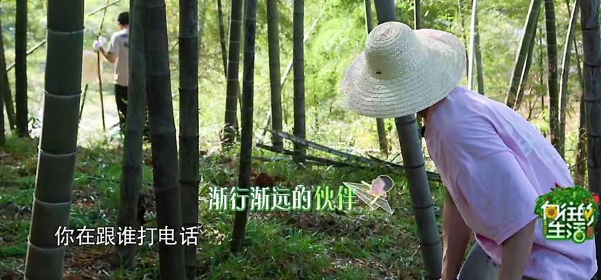 吐槽名嘴李诞想在《向往的生活》里靠嘴吃饭,